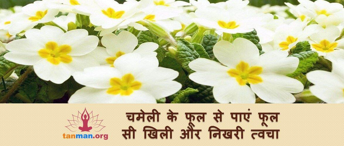 चमेली के फूल से मिलेगी निखरी और दमकती त्वचा, पढ़ें कैसे?