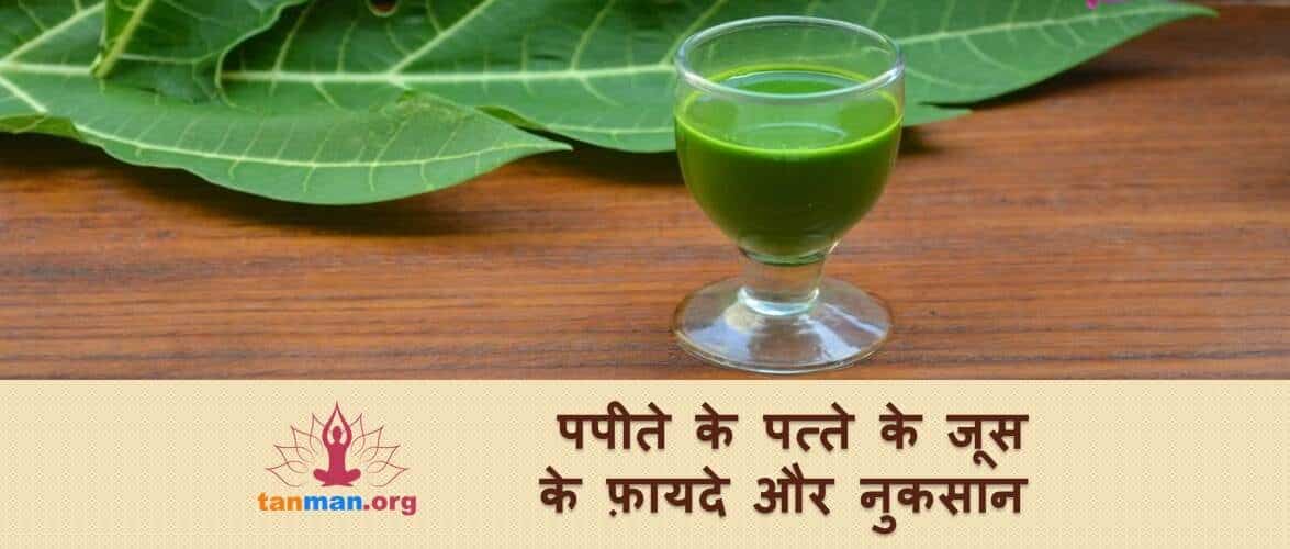 जानिए पपीते के पत्ते के जूस के फायदे और नुकसान के बारे में