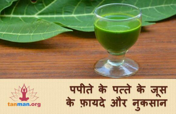 जानिए पपीते के पत्ते के जूस के फायदे और नुकसान के बारे में