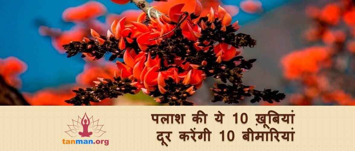पलाश के 10 ऐसे फायदे, जो बहुत काम आएंगे