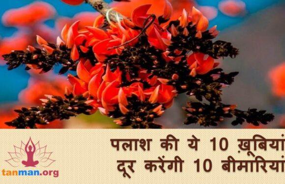 पलाश के 10 ऐसे फायदे, जो बहुत काम आएंगे