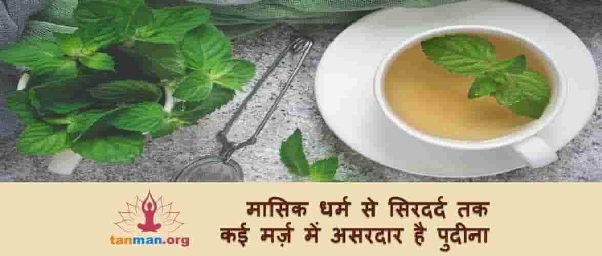 मासिक धर्म से सिर दर्द तक, जानिए पुदीना के टॉप 5 फायदे