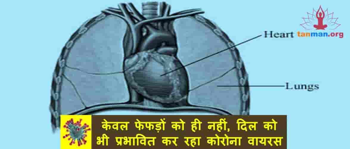 केवल फेफड़ों को ही नहीं, दिल को भी प्रभावित कर रहा कोरोना वायरस