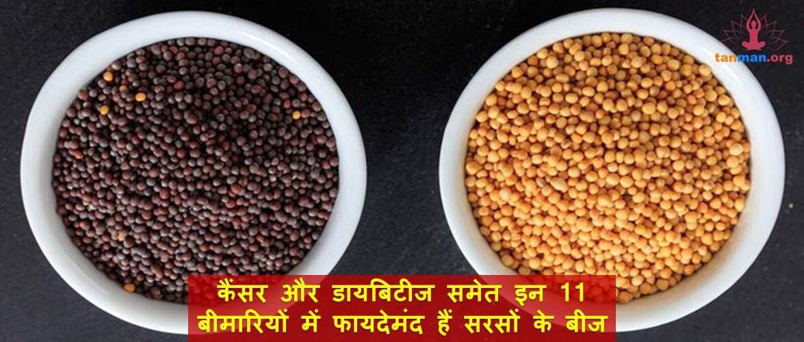 कैंसर और डायबिटीज समेत इन 11 बीमारियों में फायदेमंद हैं सरसों के बीज